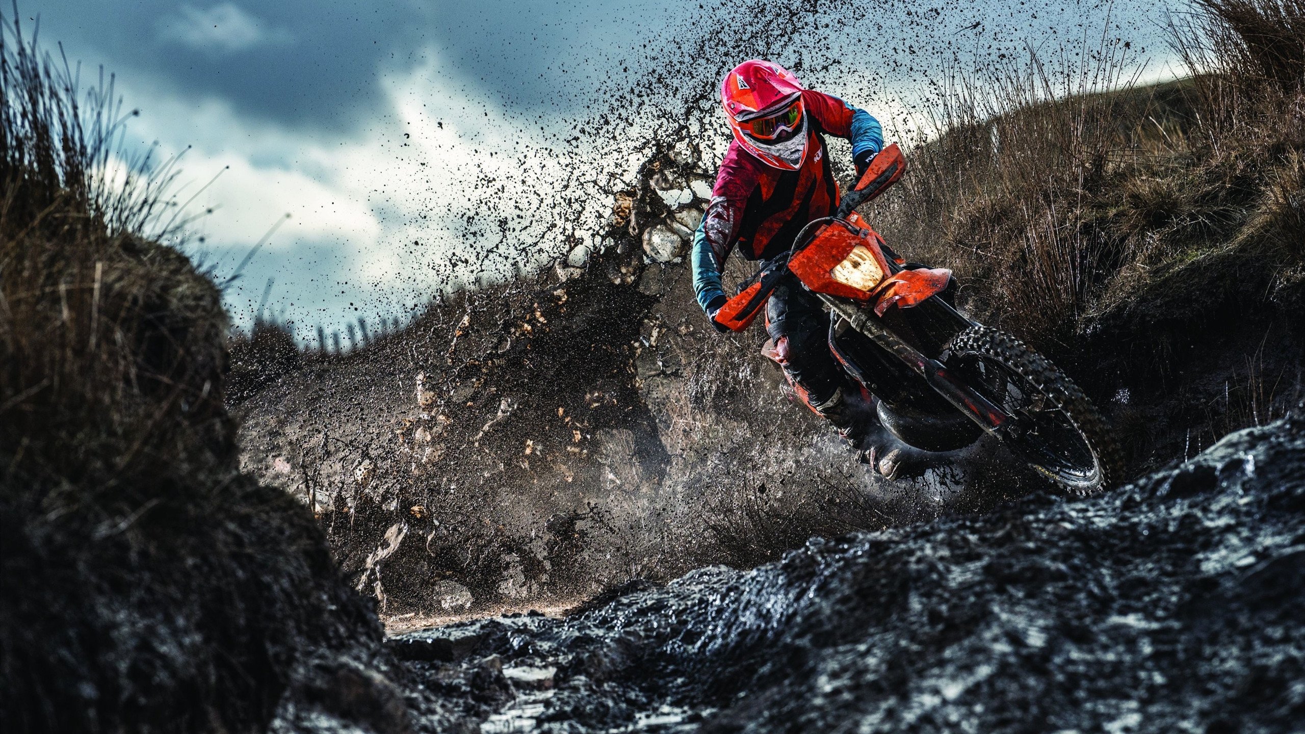 双城记，猛龙狂胜广东队，贝恩欧冠赛场展露杀手本色